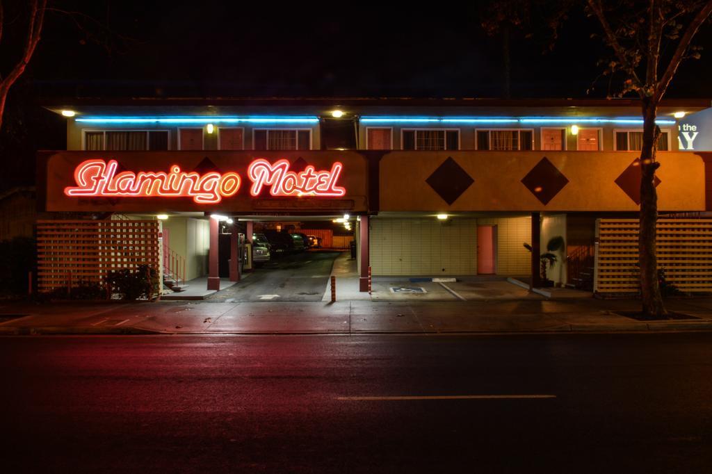 The Flamingo Motel San José Exterior foto